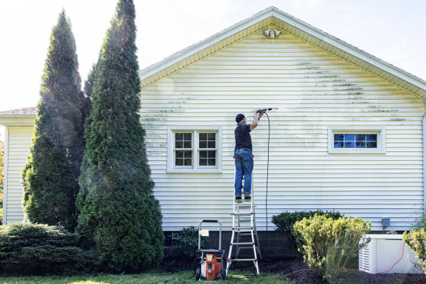 Best Historic Building Restoration  in Lyons, KS